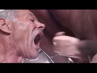 Old gay sucking huge cock in a threesome